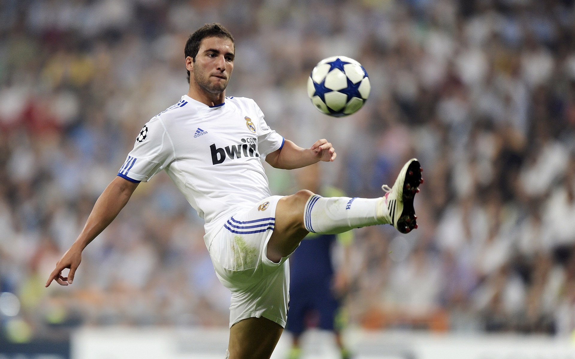 球员职业发展道路模糊不清,职业球员的定义