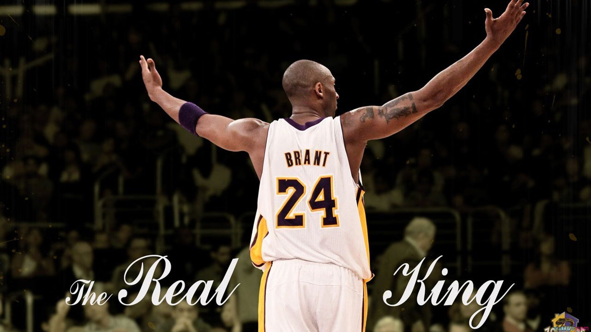 篮网新人上场表现惊艳未来可期,篮网新队员